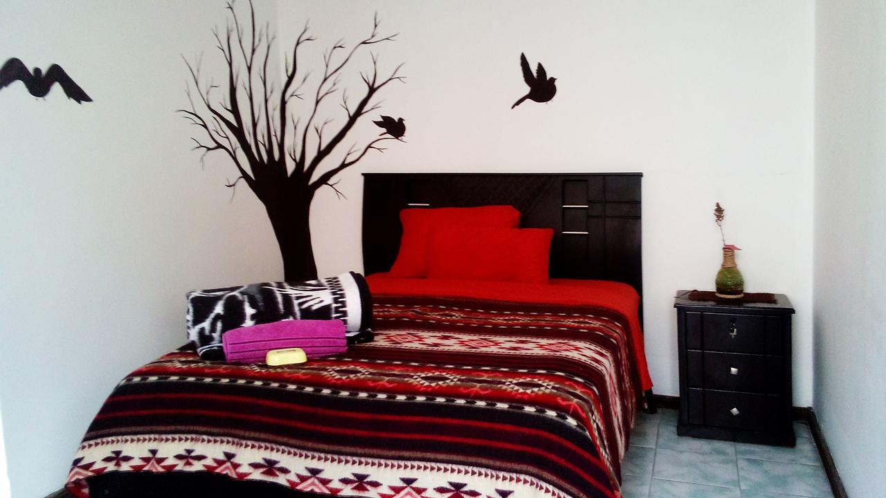The Backpacker Hostal อิบาร์รา ภายนอก รูปภาพ