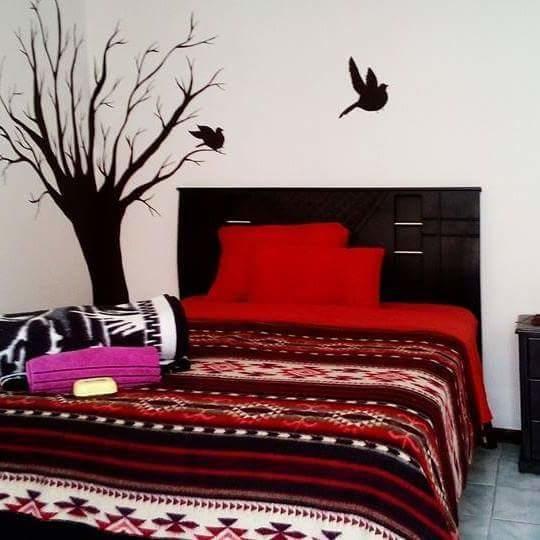 The Backpacker Hostal อิบาร์รา ภายนอก รูปภาพ