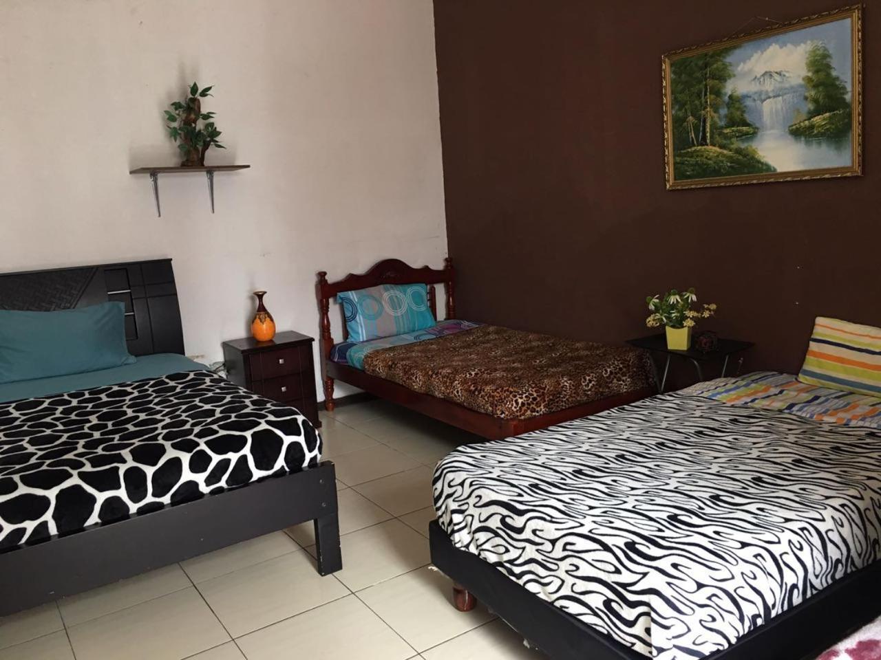 The Backpacker Hostal อิบาร์รา ภายนอก รูปภาพ
