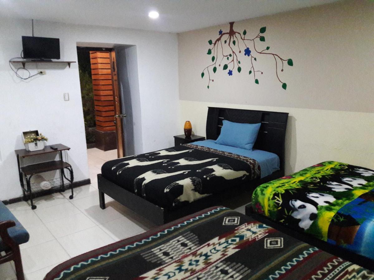 The Backpacker Hostal อิบาร์รา ภายนอก รูปภาพ